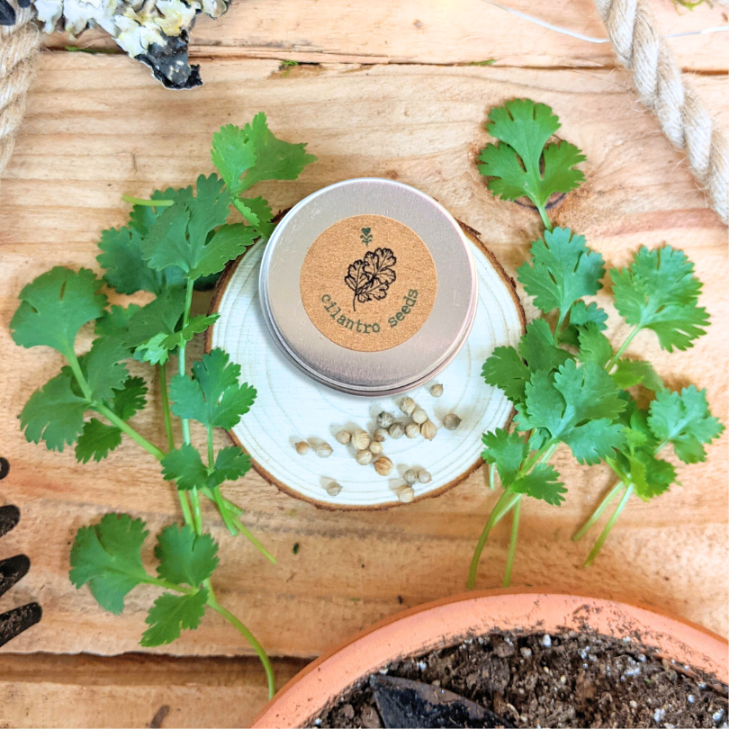 "Cooking Herbs" Seed Collection