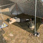 Multi-Size Waterproof Camping Tarp with 19 Hang Points