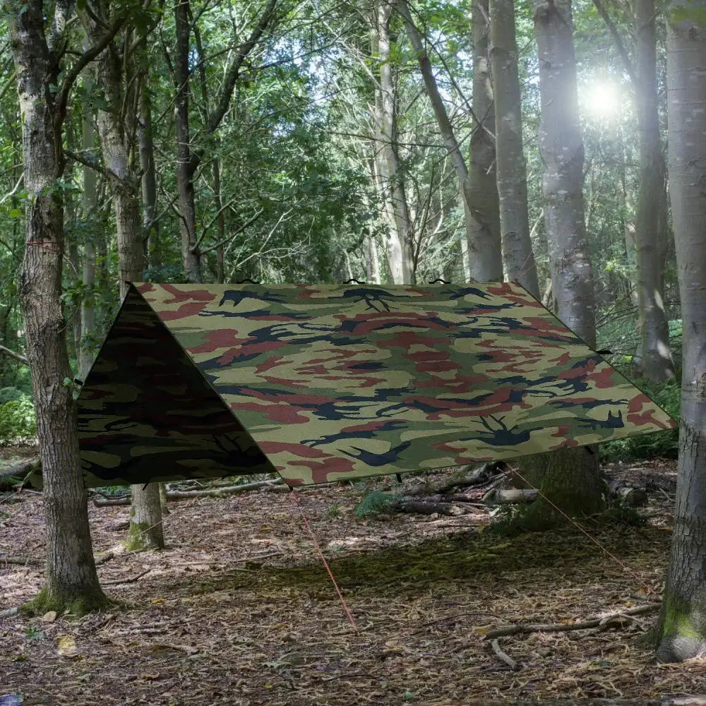 Multi-Size Waterproof Camping Tarp with 19 Hang Points